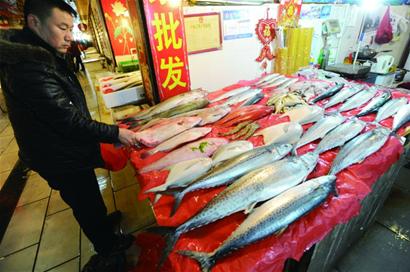 鲅魚產量較往年大幅減少 恐步小黃花后塵
